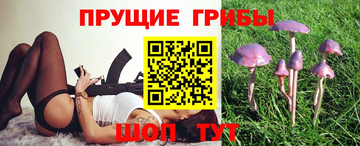 Галлюциногенные грибы GOLDEN TEACHER  Псилоцибиновые грибы прущие грибы  Вход с VPN  Нижневартовск 