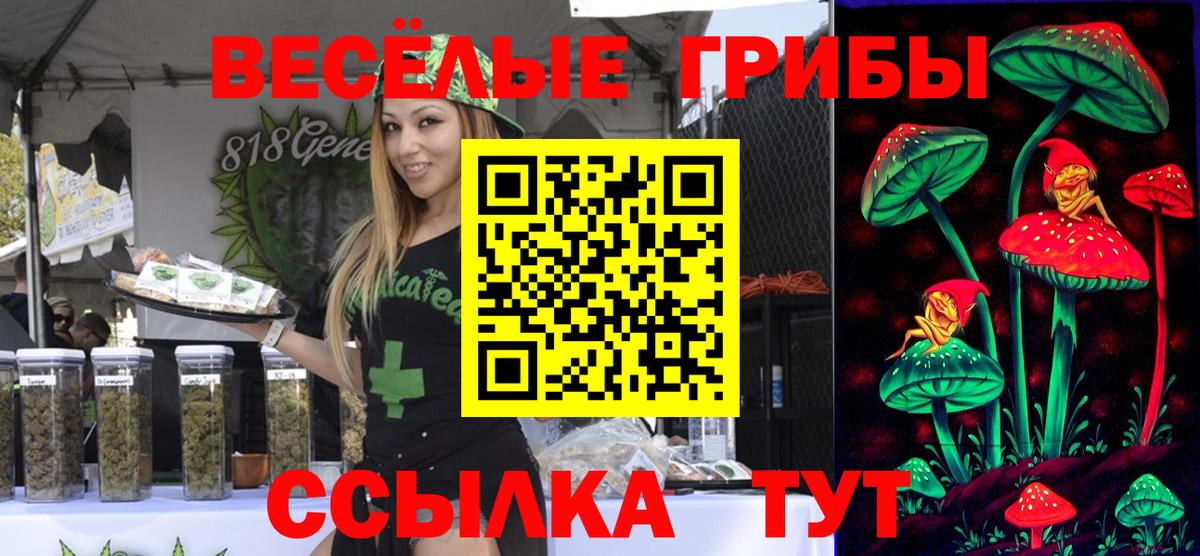 Псилоцибиновые грибы прущие грибы Нижневартовск