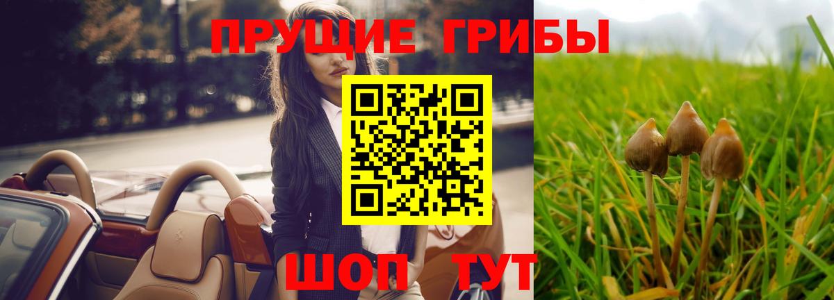 Нижневартовск  Псилоцибиновые грибы GOLDEN TEACHER  Галлюциногенные грибы Cubensis  Вход с VPN 