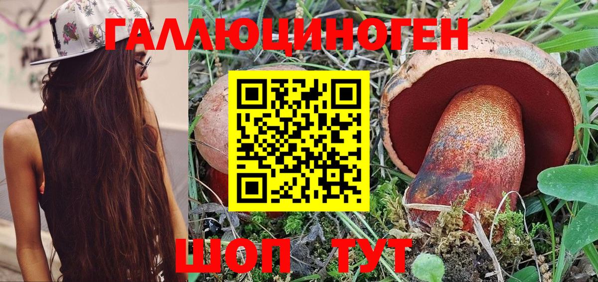 Псилоцибиновые грибы прущие грибы Нижневартовск